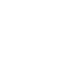 fire sprinkler solutions logo